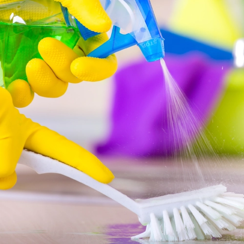 Cleaning Services: